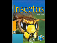insectos (4).pdf